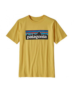 Patagonia boys p-6 logo organic t-shirt surfboard yellow