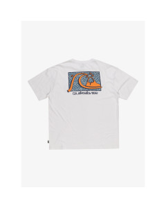 Quiksilver t-shirt take us back ss tee white 2024